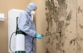 Best Water Damage & Mold Remediation  in Krebs, OK